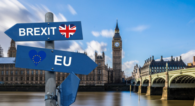 Brexit doprowadzi do masowego powrotu Polaków z emigracji? Bez statusu rezydenta nie będzie można legalnie pracować (fot.pixabay.com) Brexit: Polacy nie będą mogli legalnie pracować w Wielkiej Brytanii?