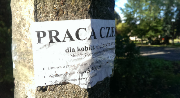 Pod koniec października br., jak wynika ze wstępnych danych MRPiPS, było w Polsce 841,9 tys. bezrobotnych. Fot. PTWP Bezrobocie w październiku najniższe od 30 lat