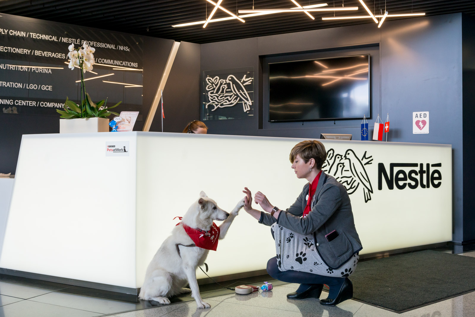 W Polsce od czterech lat psy pracowników Nestle Purina są zapraszane do biura. (Fot. Nestle Purina)