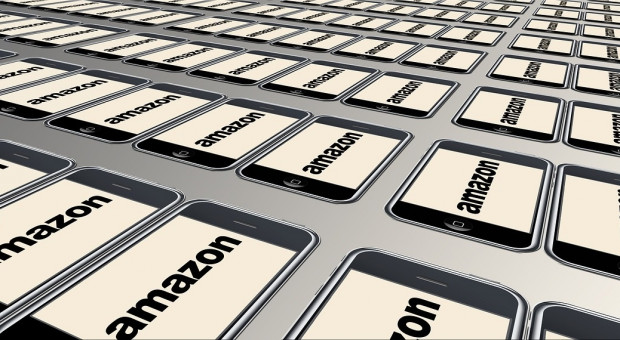 Amazon twierdzi, że dwie osoby złamały politykę firmy dot. komunikacji zewnętrznej (fot. pixabay) Amazon chce zwolnić aktywistów klimatycznych