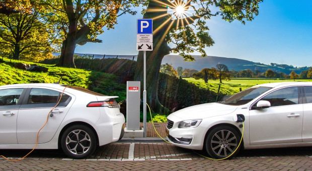 Holenderska Agencja Przedsiębiorczości (RVO) prognozuje, że do 2025 r. liczba miejsc pracy w transporcie elektrycznym podwoi się z 6 800 do 13 500 osób (fot. Pixabay) W tej branży liczba miejsc pracy zwiększy się dwukrotnie