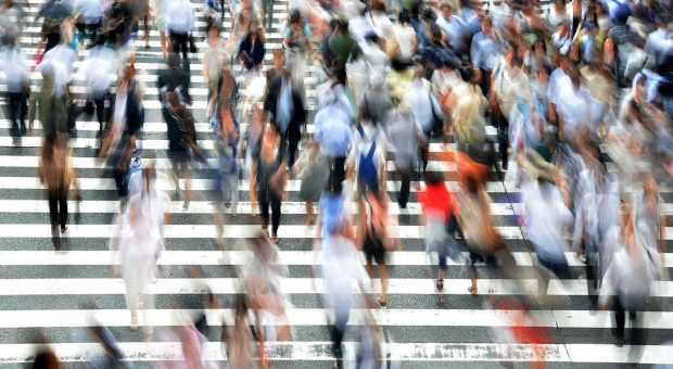 Państwo jest dobrze przygotowane na koronawirusa. (Fot. Pixabay) Koronawirus nie powinien negatywnie wpływać na rynek pracy