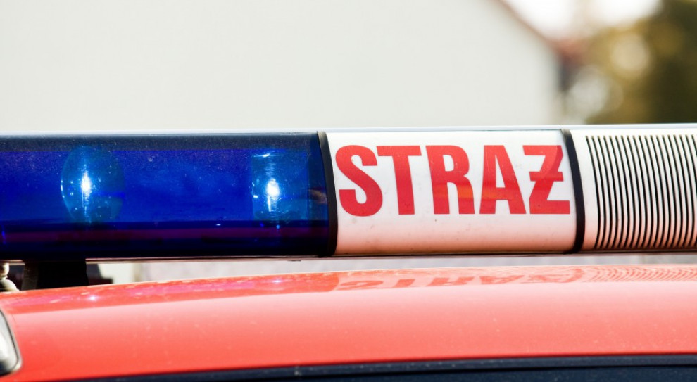 Ratownicy PSP pełnili służbę w 48 granicznych punktach kontrolnych. (Fot. Shutterstock) Ponad 2 tys. strażaków zaangażowanych w walkę z koronawirusem
