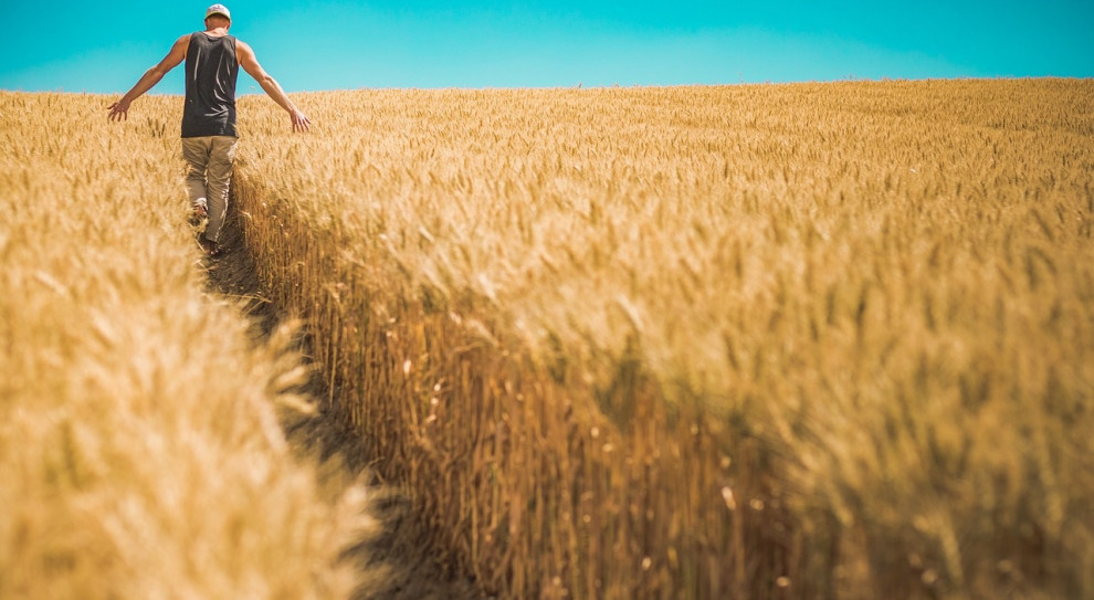 Od dnia 16 kwietnia 2020 r. obowiązuje nakaz zakrywania ust i nosa. (Fot. Pixabay) Jaka kara grozi rolnikowi za brak maski w czasie pracy?