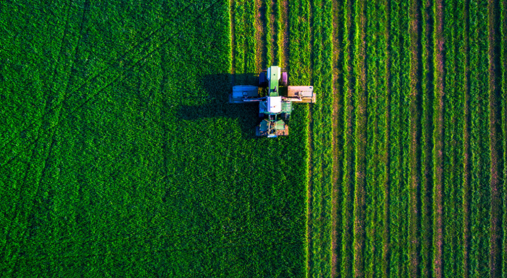 Rolnicy i ogrodnicy boją się o swoje zbiory. Brak rąk do pracy może oznaczać ogromne straty (fot.shutterstock.com) Potrzeba 500 tys. osób do zbiorów owoców. Rolnicy szukają rąk do pracy