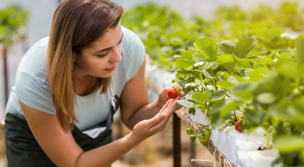 Praca sezonowa w dobie koronawirusa: Są zasady dla pracowników z zagranicy (fot. shutterstock) Wypracowano zasady dotyczące zagranicznych pracowników sezonowych w rolnictwie