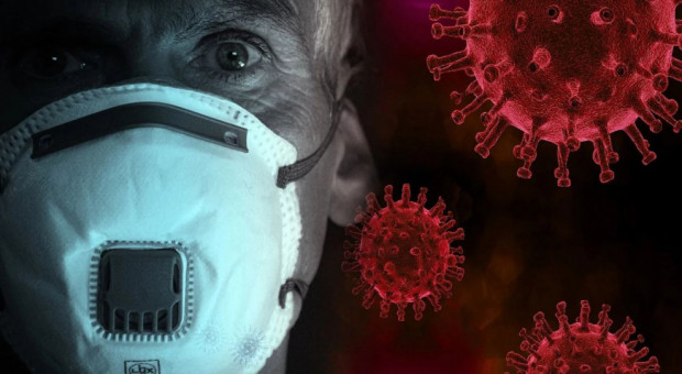 W pierwszych dniach maja RPO skierował do GIP pismo, w którym alarmował, że prawo pozwala w okresie epidemii na znaczne ograniczenie uprawnień pracowniczych (Fot. pixabay) Prawa pracowników w czasie pandemii można łamać bezkarnie? GIP zajmuje się tylko najpoważniejszymi przypadkami