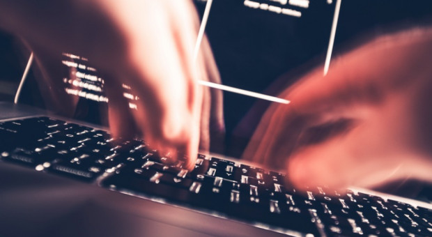 Branża IT od dawna uchodziła za lidera w kwestii możliwości pracy zdalnej (fot. fotolia) Ponad 80 proc. specjalistów tej firmy nie chce już na stałe pracować z biura