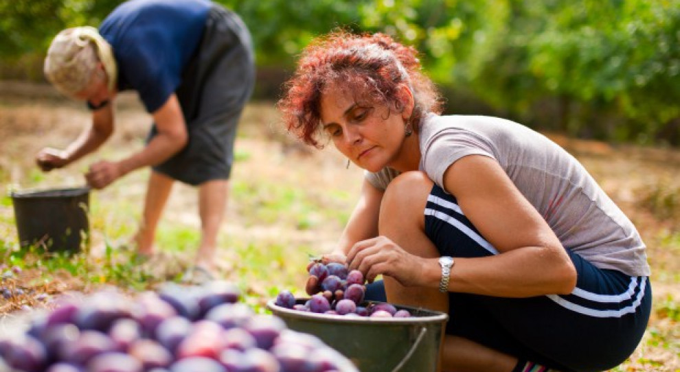 Na koniec maja liczba osób bezrobotnych wynosiła 1 mln 117 tys. osób. (Fot. Shutterstock) Przybywa osób bez pracy. Prace sezonowe nie obniżyły bezrobocia