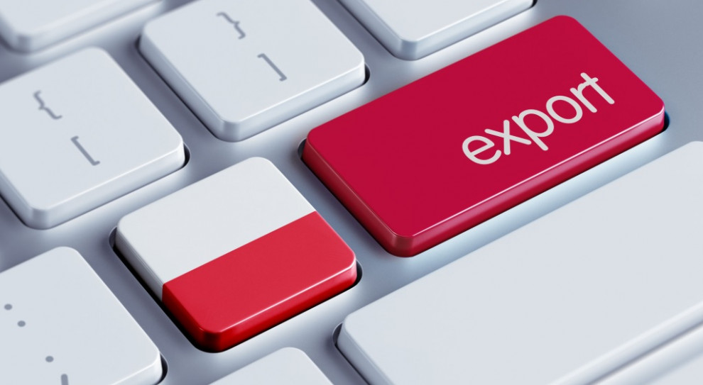 Za spadki eksportu w pierwszych pięciu miesiącach br. odpowiadały państwa rozwinięte gospodarczo (fot. shutterstock) Aktywność międzynarodowa firm nadal będzie ograniczona