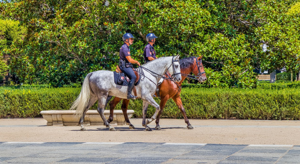 Pod koniec sierpnia pięć przypadków zakażenia koronawirusem potwierdzono u policjantów z oddziałów szturmowych z Galicji. (fot. nextvoyage z Pixabay) Hiszpania. Policyjni związkowcy odnotowują masowe zakażenia wśród funkcjonariuszy