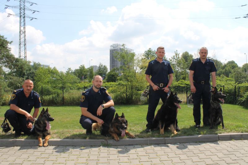 Po roku zatrudnienia można awansować na młodszego strażnika z wynagrodzeniem zasadniczym 3,55 tys. zł brutto (fot. strazmiejska.katowice.pl)