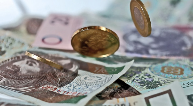 fot.pixabay Zadłużenie jednoosobowych działalności wzrosło do 6,3 mld zł