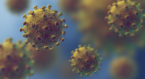 Powołała wojewódzkich koordynatorów, którzy będą monitorować sytuację epidemiczną na uczelniach (fot. shutterstock) Powołano koordynatorów monitorujących sytuację epidemiczną na uczelniach