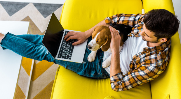 Świadczenie pracy w formie zdalnej w trakcie kwarantanny możliwe jest za zgodą pracodawcy albo zatrudniającego (fot. shutterstock) Pracodawca nie może nakazać pracy podczas kwarantanny