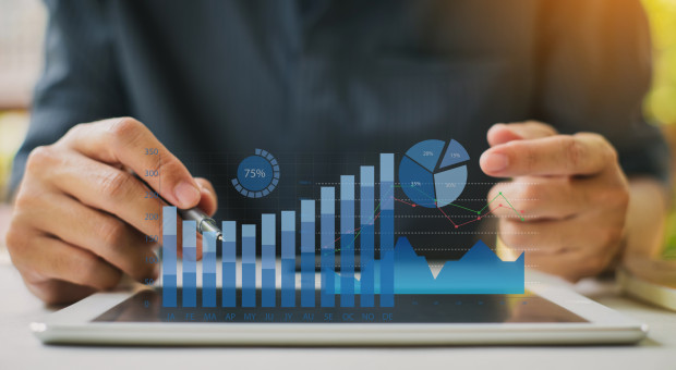 Najsilniejszy wzrost nastąpił w kategorii nakładów inwestycyjnych (fot. shutterstock) PIE: Rekordowy udział firm z kapitałem zagranicznym w polskiej gospodarce