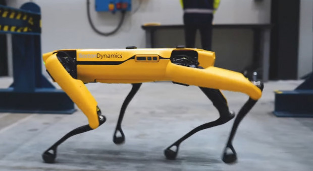 Policja w Nowym Jorku zerwała kontrakt z firmą Boston Dynamic (fot. YouTube) Pies robot stracił pracę. Miał zły wpływ na wizerunek policji