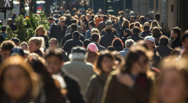 Przeciętne zatrudnienie w 2020 r. wyniosło 10,6 mln etatów (Fot. Shutterstock) Niepokojąco niski wzrost pensji. Nie tak miało być
