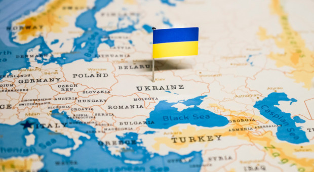 Na wschodzie Ukrainy przebywają setki obserwatorów OBWE (fot. Shutterstock) OBWE wdraża plany awaryjne dla personelu