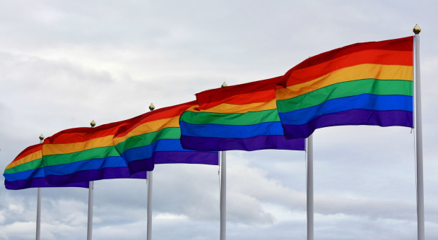 (Fot. Pixabay) Biedronka przesunęła lesbijkę do innego sklepu. "Standardowa procedura"