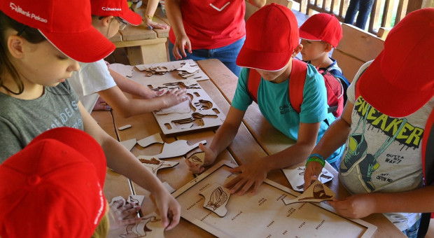 W spacerze udział wzięli podopieczni fundacji i świetlic z województwa śląskiego (fot. pekao.com.pl) Bank Pekao wspiera żubry i edukuje dzieci