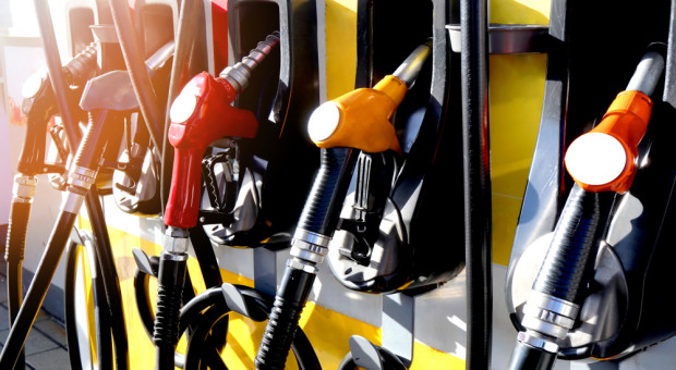 Według przedstawicieli branży transportowej w Wielkiej Brytanii brakuje ok. 100 tys. kierowców ciężarówek (Fot. Shutterstock) Ogromne braki pracowników. Rząd rozważa użycie wojska