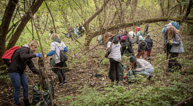 300 pracowników i współpracowników Unum Życie wraz z bliskimi sprzątało lasy (fot. mat. pras.) Postanowili posprzątać świat. Zebrali tony śmieci