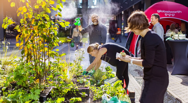 Zlokalizowany w centrum Łodzi budynek biurowy Green Horzion stał się jeszcze bardziej zielony (Fot. mat. pras.) Wyjątkowa akcja pracowników. Razem zmienili swój biurowiec