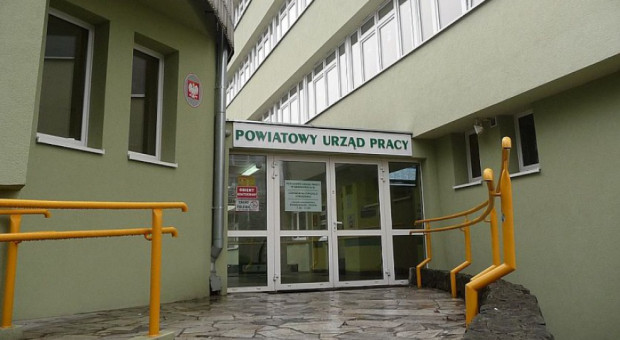 Od listopada rozpocznie się nabór do udziału w projekcie "POWER dla młodych - wsparcie osób młodych na regionalnym rynku pracy w zakresie zakładania i prowadzenia działalności" (zdjęcie ilustracyjne, fot. pup.krapkowice.ibip.pl) Ponad 14 mln zł czeka na młodych bezrobotnych