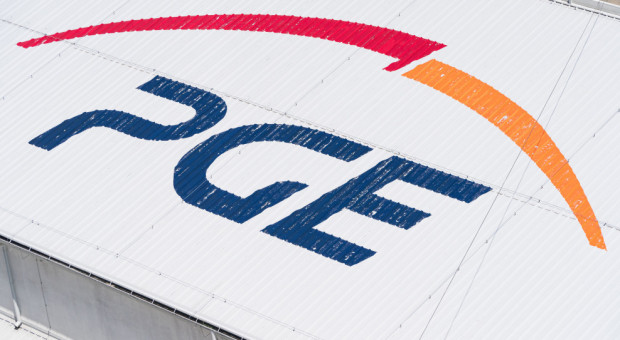 PGE od lat prowadzi działania i projekty, które mają na celu ochronę przyrody i środowiska naturalnego (fot. Shutterstock) PGE angażuje się w ochronę przyrody. Ratuje symbol Polski
