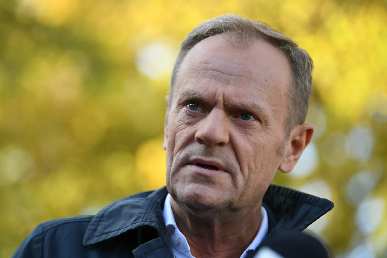 Jak podał Marcin Kierwiński, przewodniczący PO Donald Tusk będzie dążył do osiągnięcia parytetu we władzach partii (fot. PAP/Adam Warżawa)
