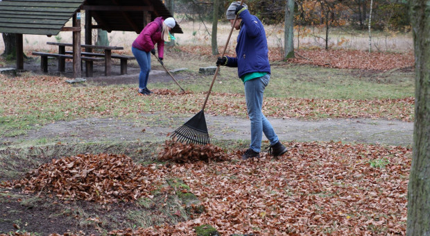 Pracownicy PGE uporządkowali teren w miejscowości Granica (Fot. mat. pras.) PGE zadba o jeden z najstarszych parków narodowych