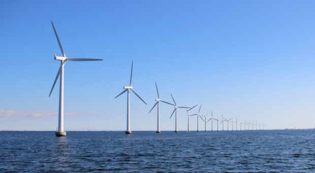 W Polsce RWE realizuje projekt morskiej energetyki wiatrowej F.E.W. Baltic II (fot. Shutterstock) Uniwersytet Gdański i RWE Renewables będą współpracować przy morskich wiatrakach