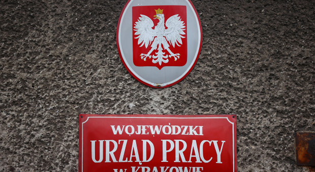 Stopa bezrobocia rejestrowanego w końcu października kształtowała się w przedziale od 3,2 proc. w woj. wielkopolskim do 8,6 proc. w woj. warmińsko-mazurskim (zdjęcie ilustracyjne, fot. PAP/Łukasz Gągulski) Mamy mniej bezrobotnych niż przed pandemią