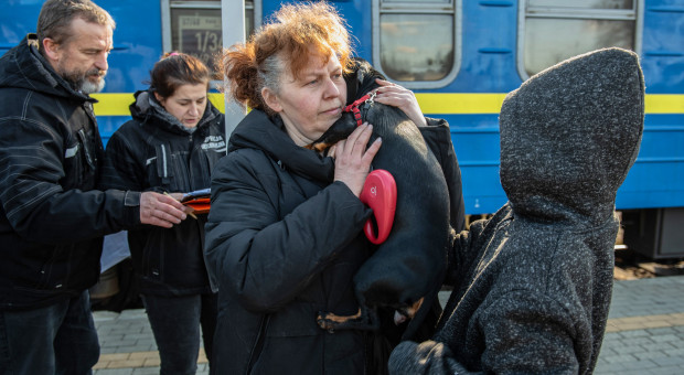 30-dniowe ubezpieczenie OC dla Ukraińców oferują już Ergo Hestia, PZU i Warta (fot. PAP/Wojtek Jargiło) Polscy ubezpieczyciele pomagają Ukraińcom