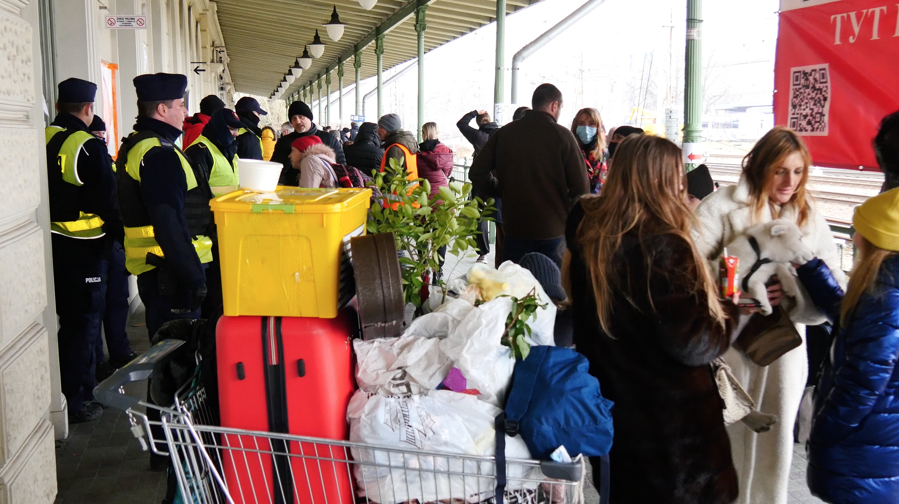 Rodzina Dany przyjechała z Odessy z bagażami mieszczącymi się w sklepowym koszyku (fot. PTWP)