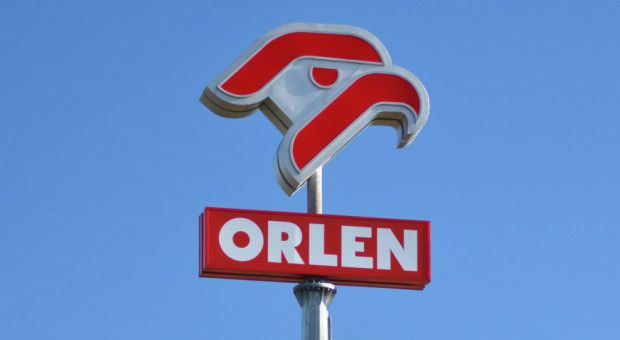 Uchodźcy z Ukrainy zamieszkają w hotelu Dębowa Góra w Nowych Rumunkach pod Płockiem (Mazowieckie), należącym do Grupy Orlen (fot. Shutterstock) Orlen udostępnił hotel uchodźcom z Ukrainy