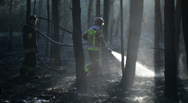 Szefernaker: rolą rządzących jest stwarzać strażakom jak najlepsze warunki do pracy