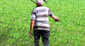 Rolnicy będą mogli nadal pracować na emeryturze
