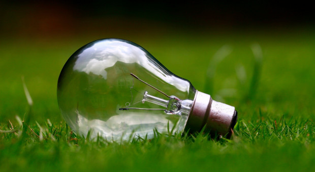 (Fot. Pixabay) Coraz więcej firm stawia na zieloną energię