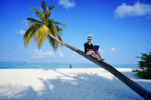 Praca pod palmą? Dla wielu freelancerów to codzienność