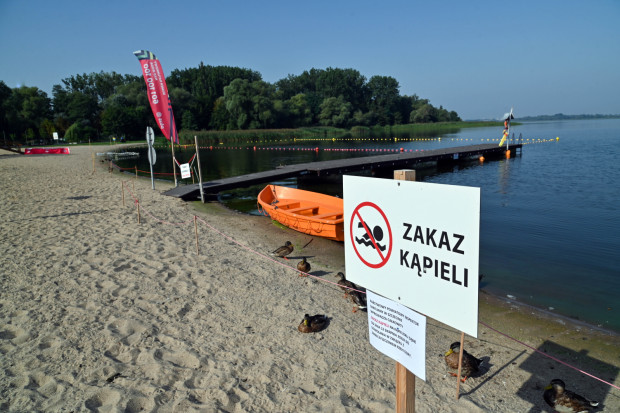 Przedsiębiorcy rozczarowani rządową ofertą pomocy. "Zostaniemy bankrutami"