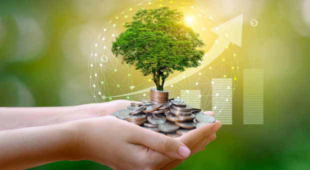 Fot. Adobe Stock. Data dodania: 23 września 2022 Konkurs Verba Veritatis. Zgłoszenia do 31 lipca