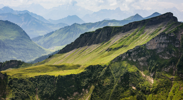 Polscy naukowcy zbadają łąki w Alpach i Karpatach