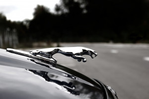 Jaguar i Land Rover startują z programem stażowym