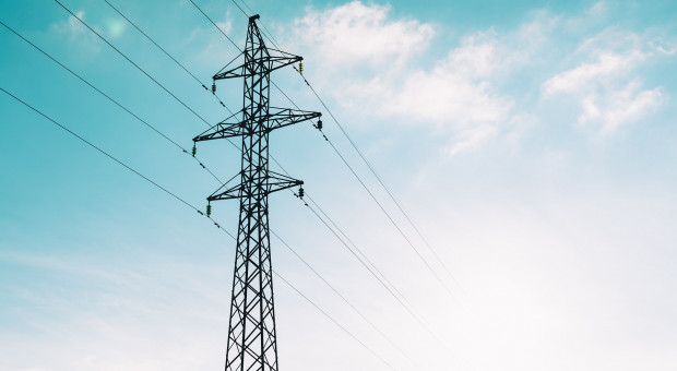 Ponad 300 firm wystąpiło o rządową pomoc dla firm energochłonnych