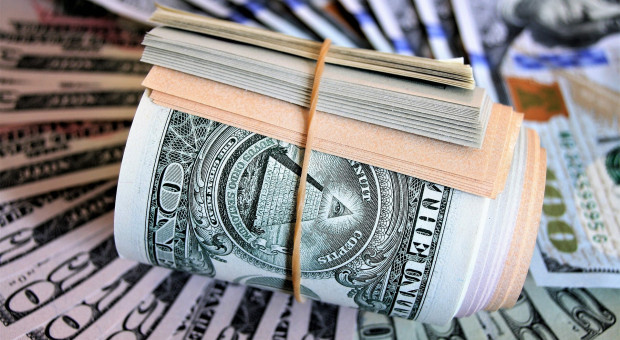 Steve Schwarzman w 2022 r. zarobił 1,26 mld dolarów (fot. pixabay) Szef firmy Blackstone zarobił 1,26 mld dolarów w rok