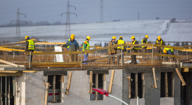 Rok na rynku pracy. "Rząd nie przeprowadził żadnej istotnej reformy korzystnej dla pracowników"