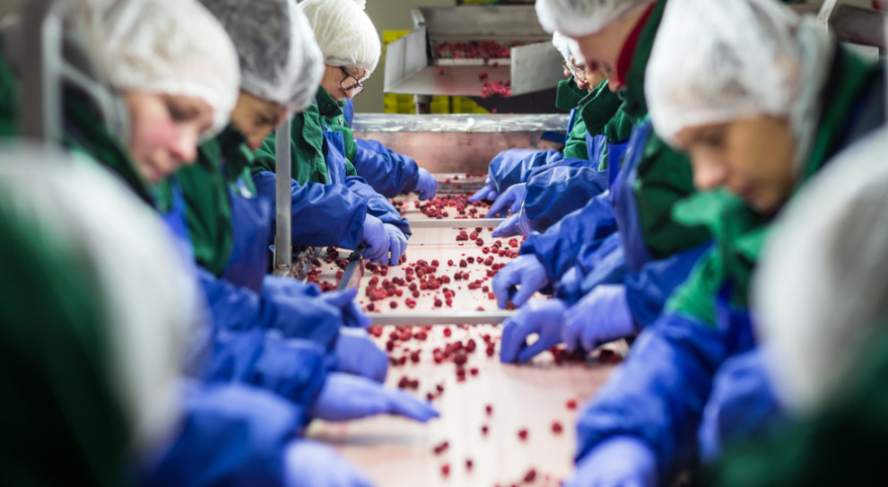 Praca na zleceniu rośnie w siłę. Ponad 1,5 mln Polaków pracuje bez etatu