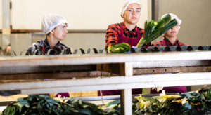 Premie podbiły wynagrodzenia. Ale liczba etatów budzi niepokój